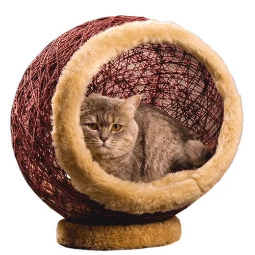 dame-cat-cave-bed-4-removebg-preview